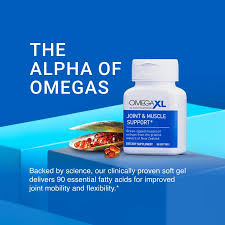 OmegaXL Joint Health Supplement 120 Capsules | Natural Joint Support & Mobility Formula | OmegaXL Joint Care Supplement